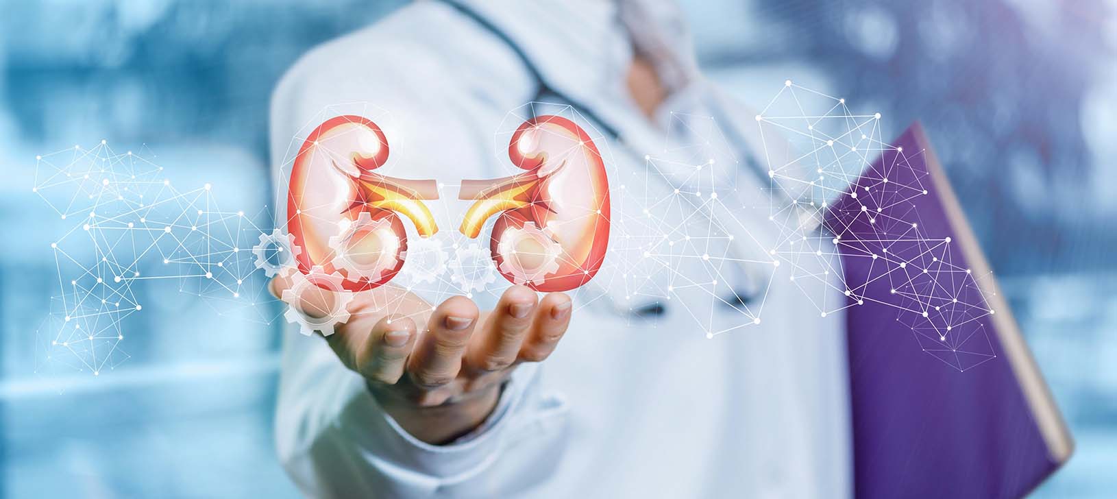 Pre & Post Kidney Transplantation